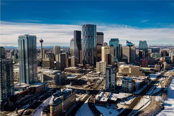 Calgary, AB T2G 0S3,315 3 ST SE #304