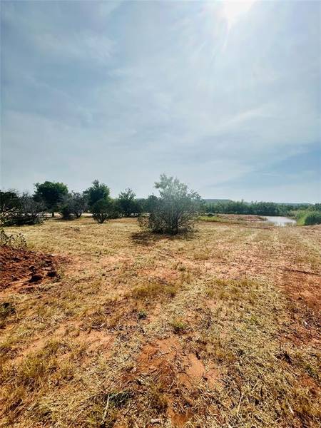 1221 County Road 127, Tuscola, TX 79562