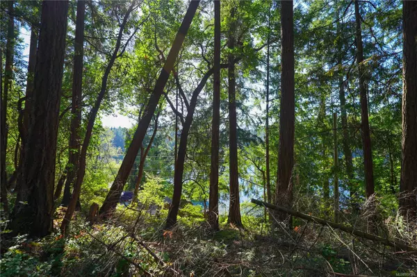 Salt Spring, BC V8K 2C1,Lot 10 Cusheon Lake Rd