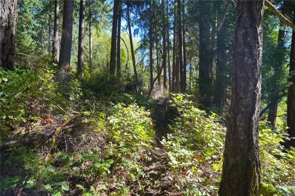 Salt Spring, BC V8K 2C1,Lot 10 Cusheon Lake Rd