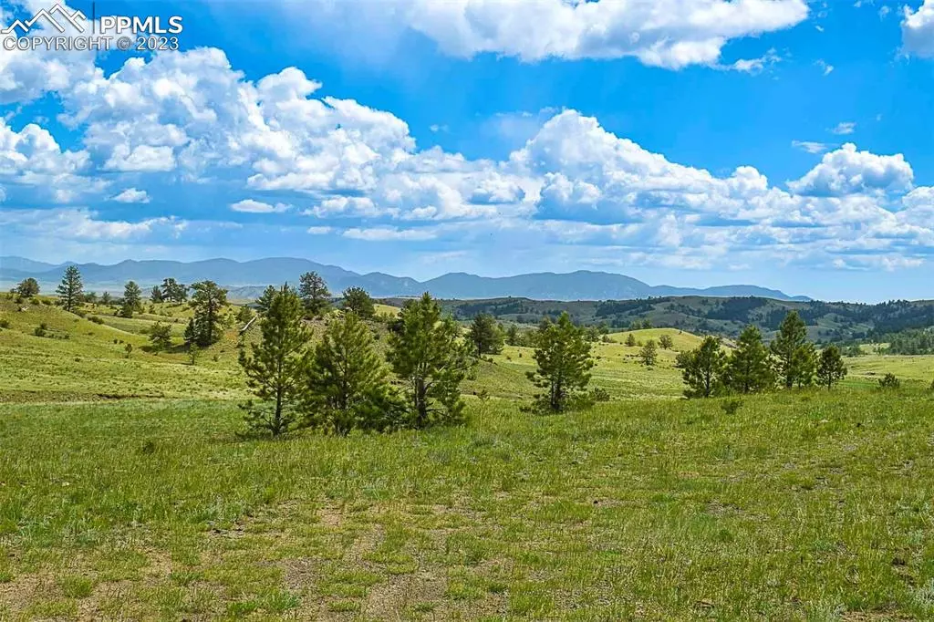 Hartsel, CO 80449,Quail CT