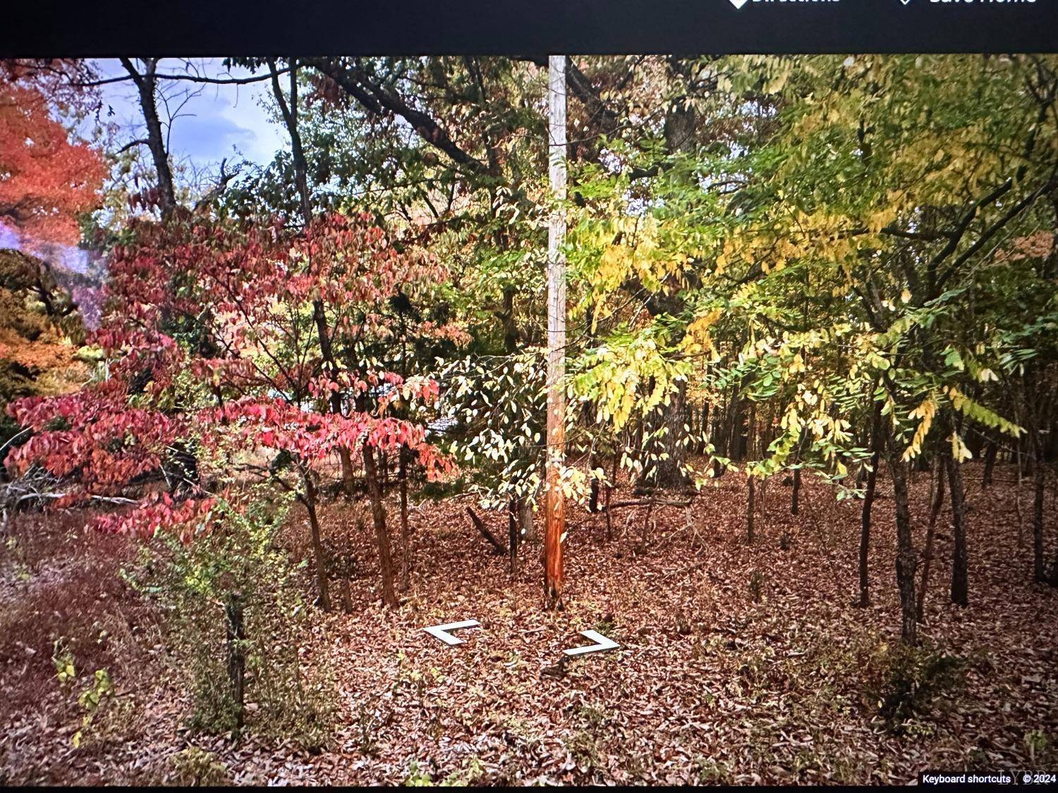 Lynchburg, VA 24503,2393 Walnut Hollow RD