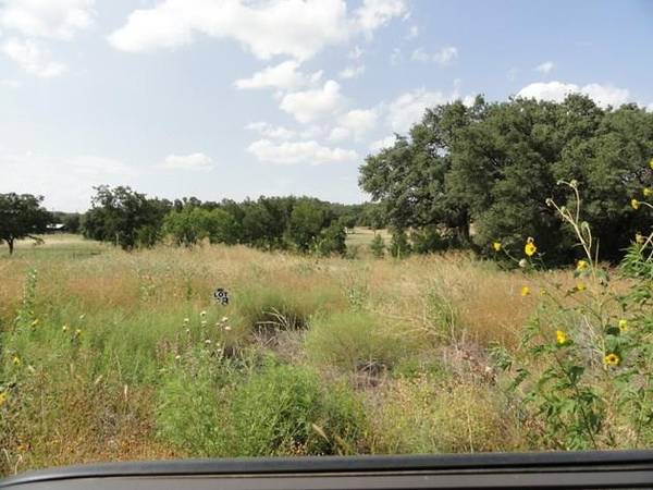 Lot 19 Britney Lane, Lake Brownwood, TX 76801