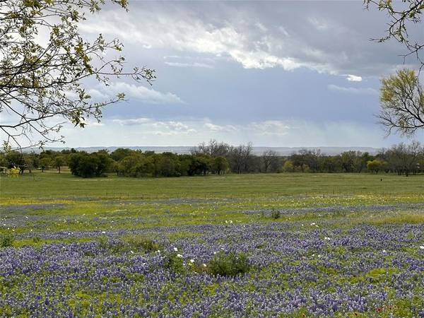 Marble Falls, TX 78654,Lot 4 Stone Mountain Drive