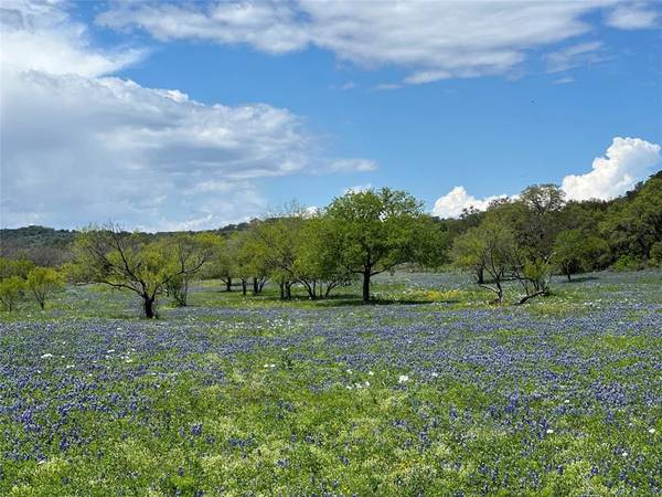 Marble Falls, TX 78654,Lot 4 Stone Mountain Drive