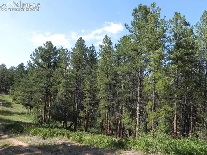 4415 Elati RD, Larkspur, CO 80118