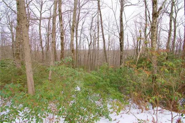 Penn Forest Township, PA 18229,Lot A44 Rhododendron Road