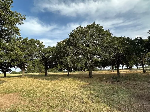 Bowie, TX 76230,TBD Red Bird Lane