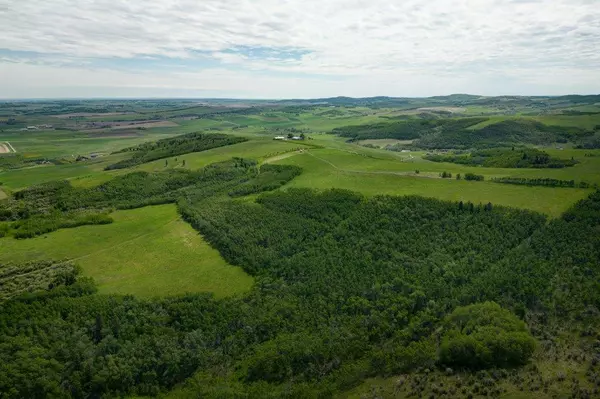 Rural Foothills County, AB T1S 3E9,128164 2239 DR W