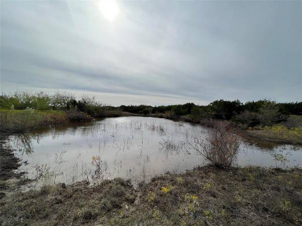 Jonesboro, TX 76538,Lot 17 PR 16020