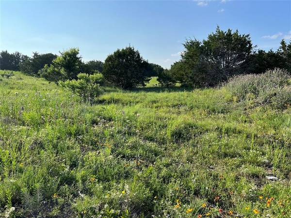 Jonesboro, TX 76538,Lot 17 PR 16020