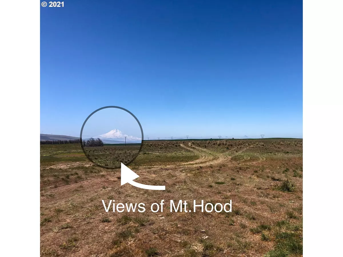 Goldendale, WA 98620,Cowboy Trail #Lot37