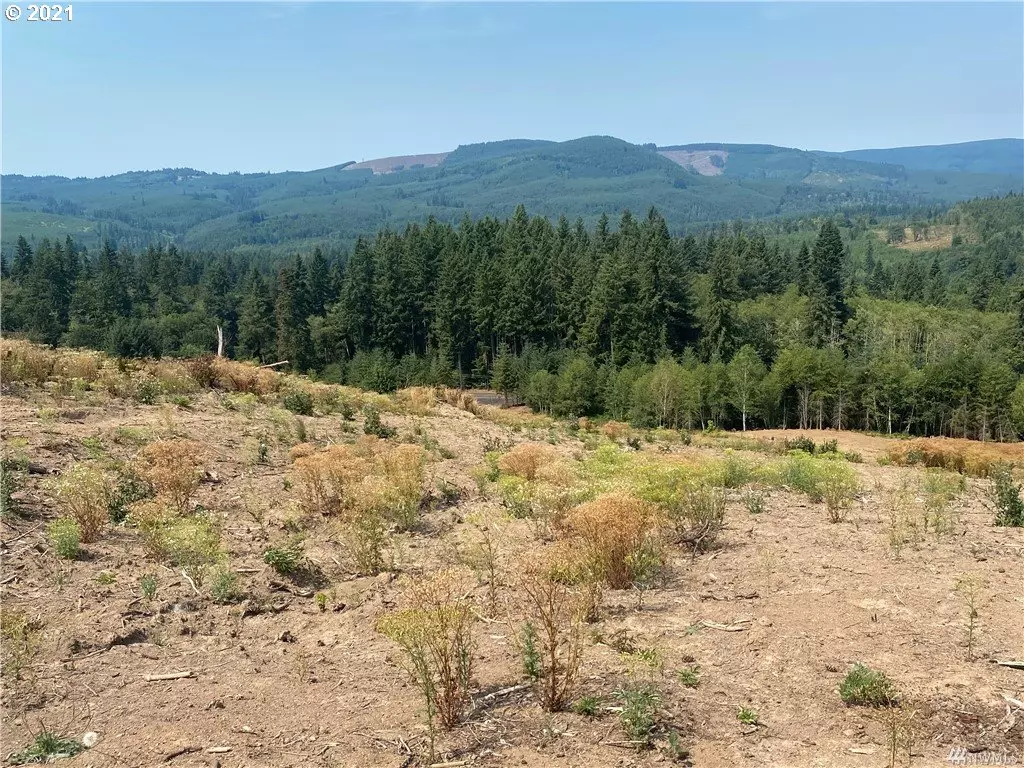 Kelso, WA 98626,0 S Goble Creek RD