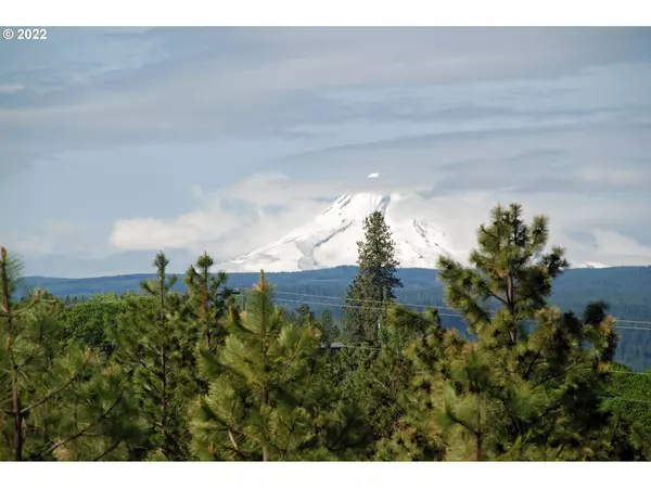 Mosier, OR 97040,1955 STATE RD