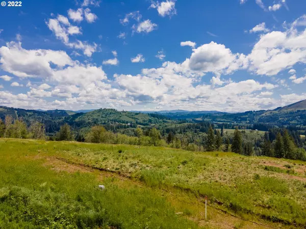 Woodland, WA 98674,203 Galaxy PL