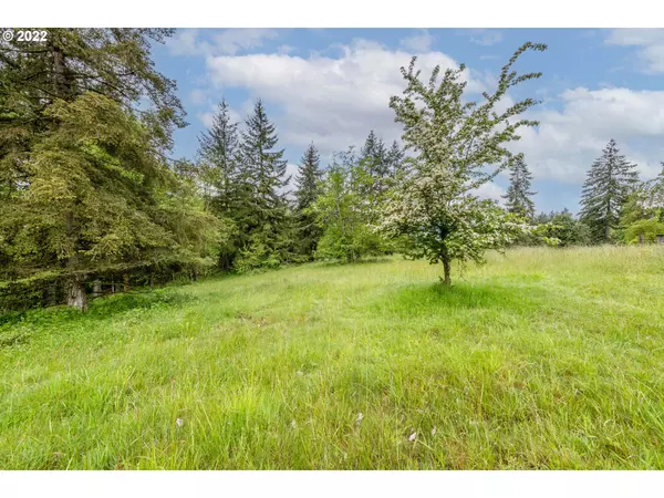 Kelso, WA 98626,00 Risley RD