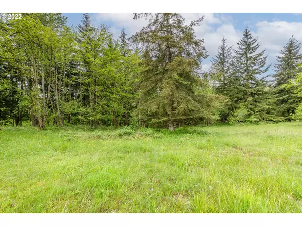 Kelso, WA 98626,00 Risley RD