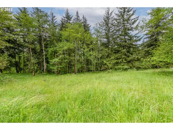 Kelso, WA 98626,00 Risley RD