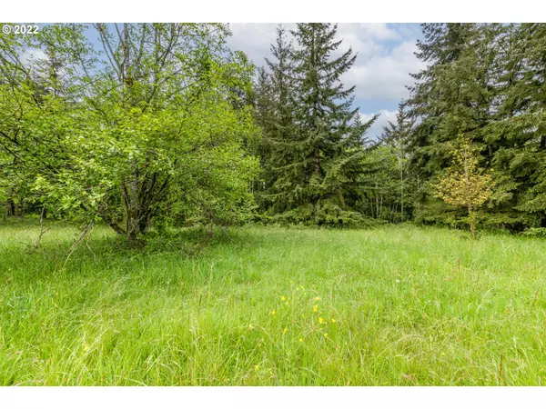 Kelso, WA 98626,00 Risley RD