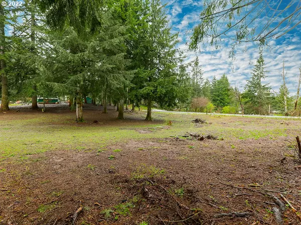 Washougal, WA 98671,0 SKYE RD