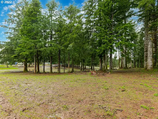 Washougal, WA 98671,0 SKYE RD