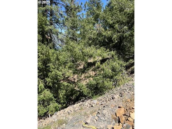 Mosier, OR 97040,Blanchard ST #41