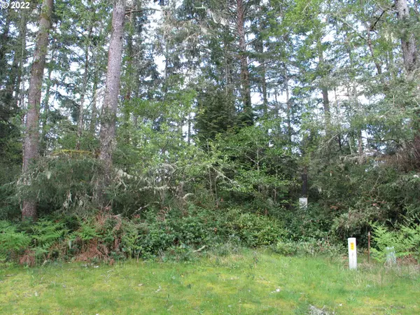 Ocean Park, WA 98640,30501 N PL