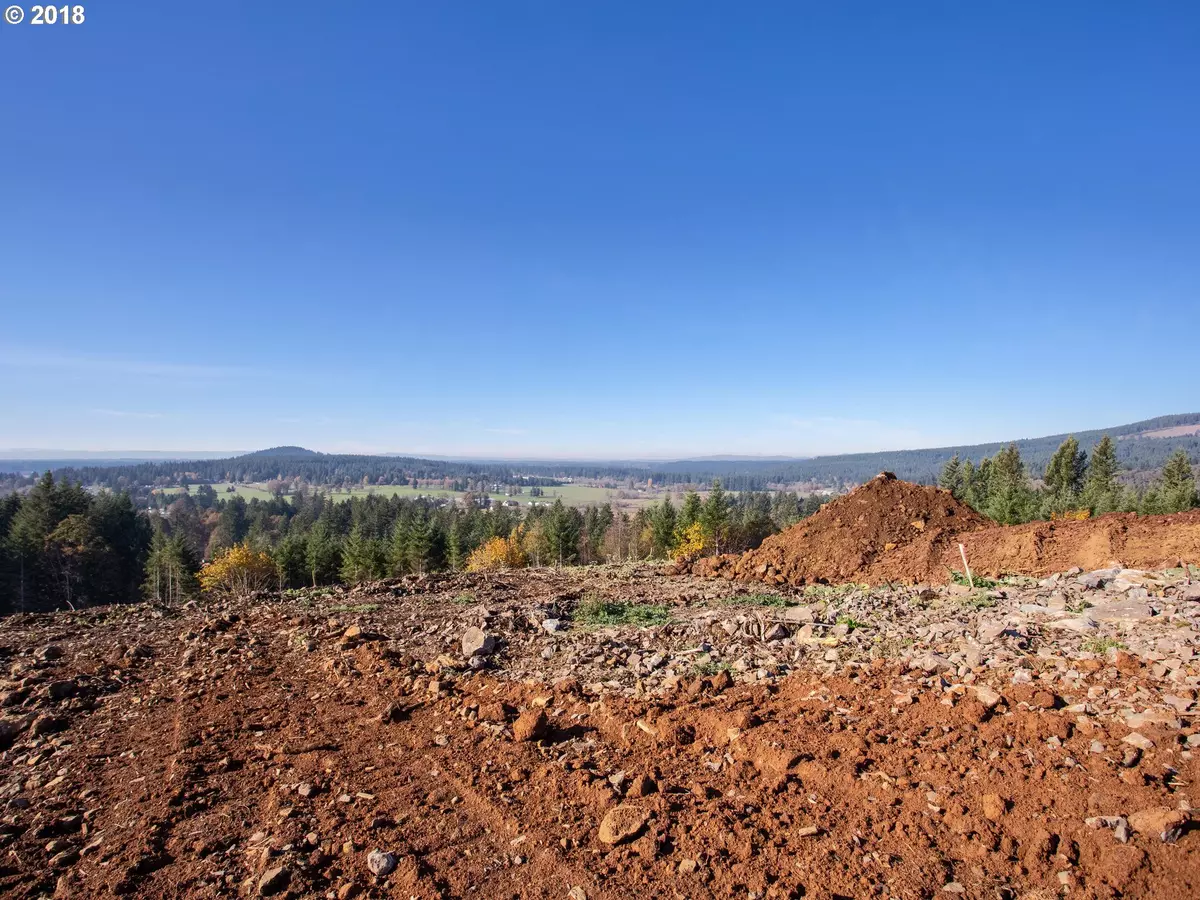 Camas, WA 98607,NE 264 CT #Lot 2