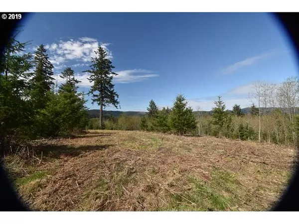 North Plains, OR 97133,0 0 NW Burgdofer Rd