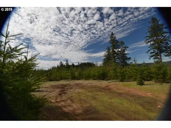 North Plains, OR 97133,0 0 NW Burgdofer Rd