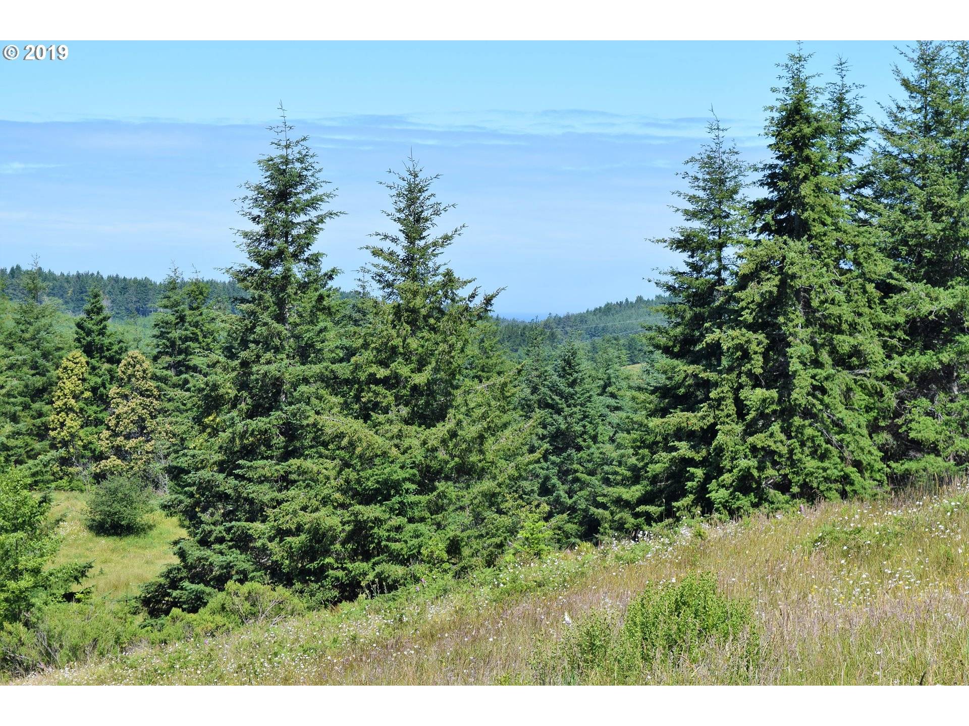 Gold Beach, OR 97444,2804 Indian Hills LOOP