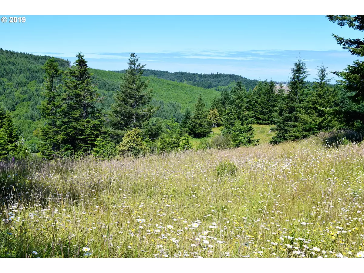 Gold Beach, OR 97444,2804 Indian Hills LOOP