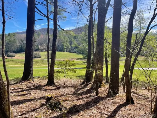 Lot MD-7 Silver Run Road, Cashiers, NC 28717