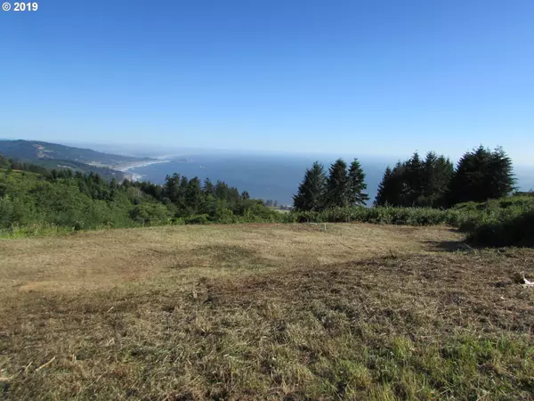 Brookings, OR 97415,000 McVay Creek RD