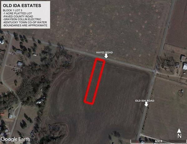 Lot 3.1 Hayes Road, Sherman, TX 75090