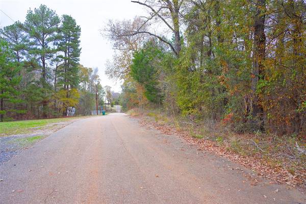 Kilgore, TX 75662,TBD ACE KING Road