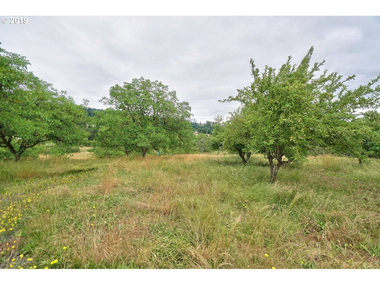 Newberg, OR 97132,0 Springbrook #4