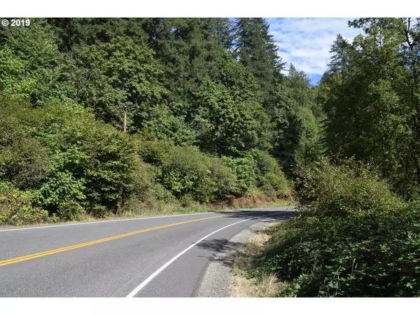 Washougal, WA 98671,0 NE Washougal River RD