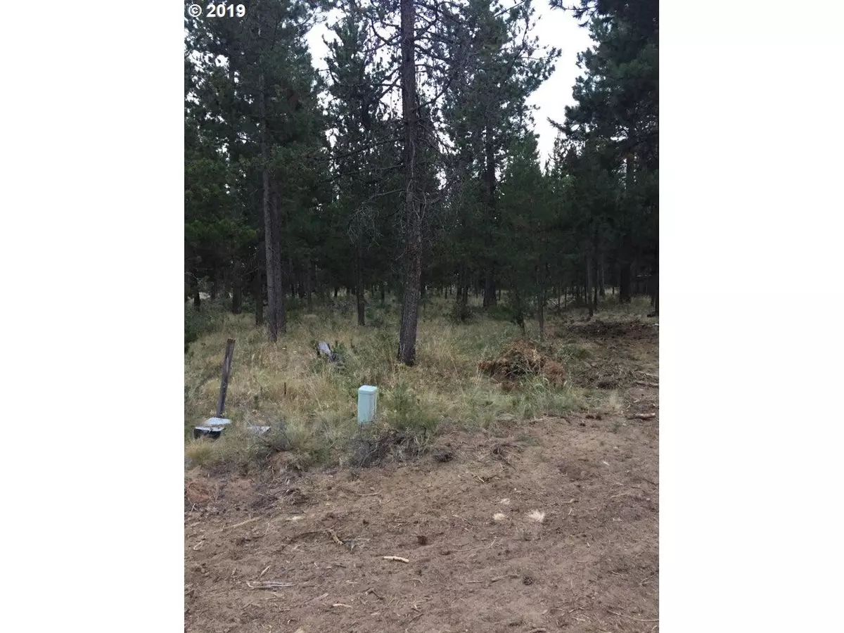 Bend, OR 97707,17255 CANVASBACK DR