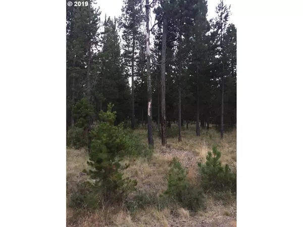 Bend, OR 97707,17255 CANVASBACK DR