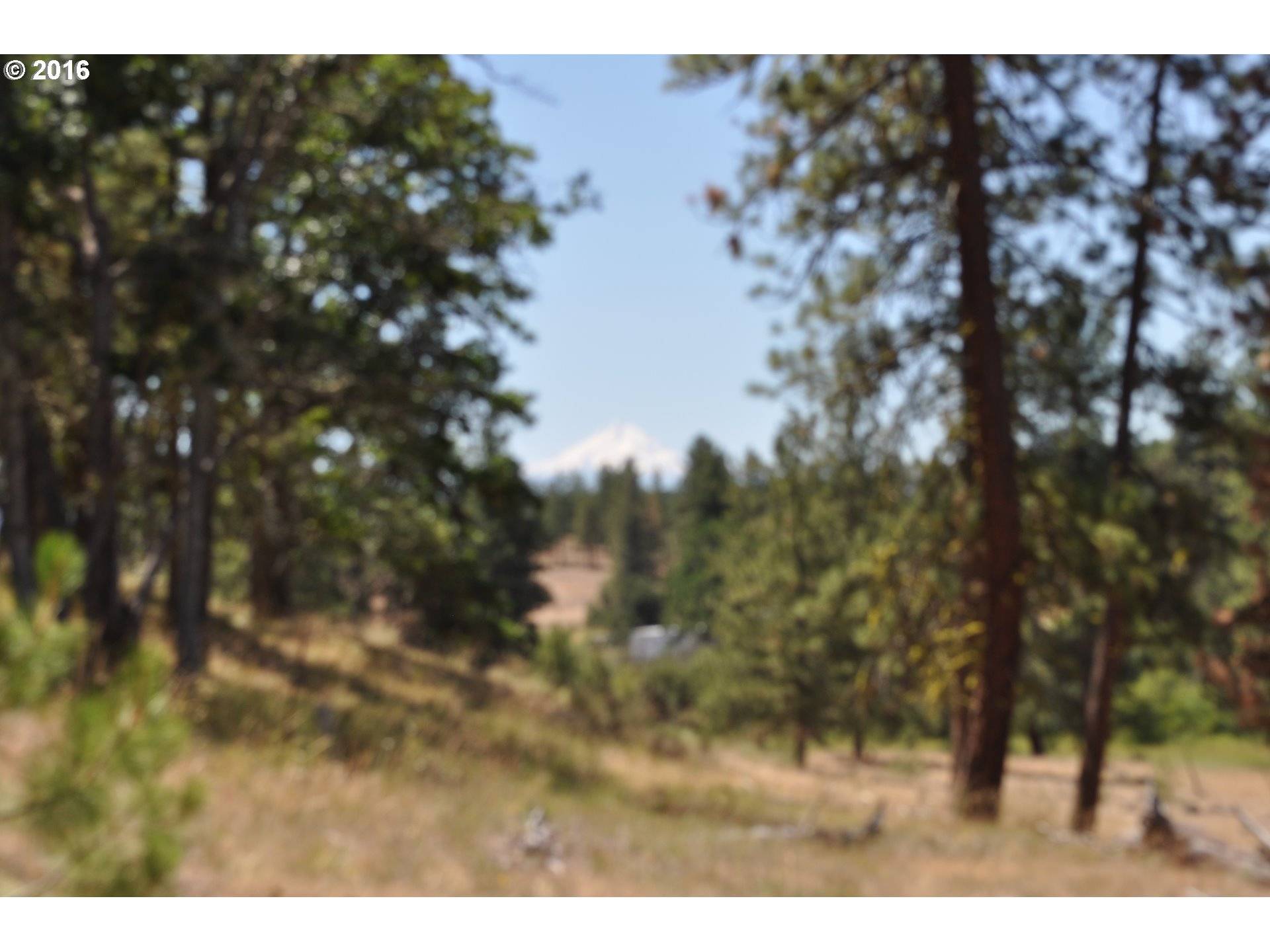 Goldendale, WA 98620,29 Hideaway RD