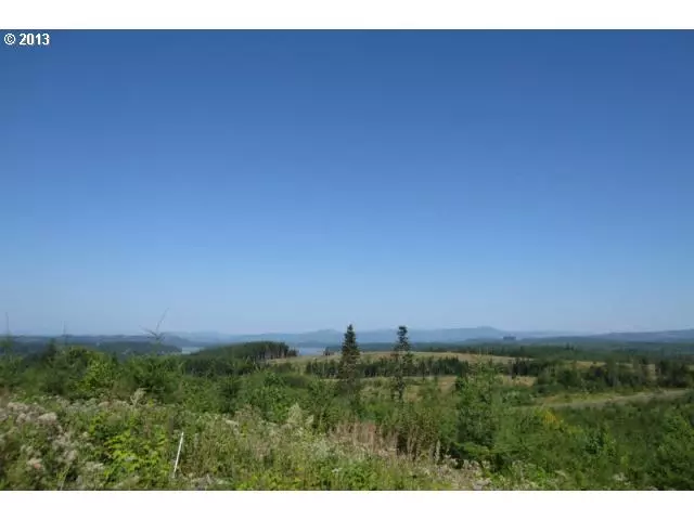 Castle Rock, WA 98611,9 Silver Ridge