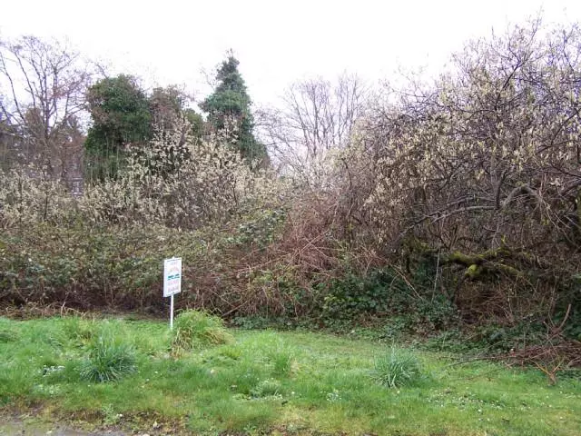 Cannon Beach, OR 97110,137 W Taft