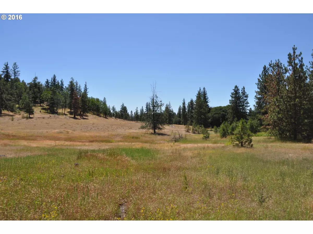 Goldendale, WA 98620,29 Hideaway RD