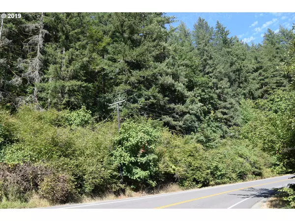 Washougal, WA 98671,0 NE Washougal River RD