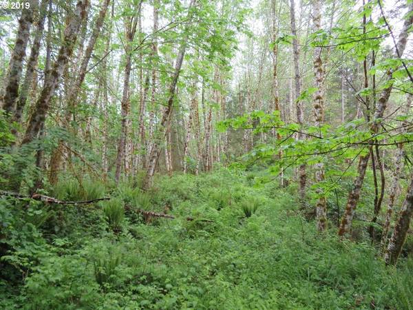 138 DORLYNES DR, Glenoma, WA 98336