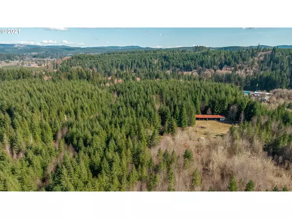 Vernonia, OR 97064,17604 SHEELY CREEK RD