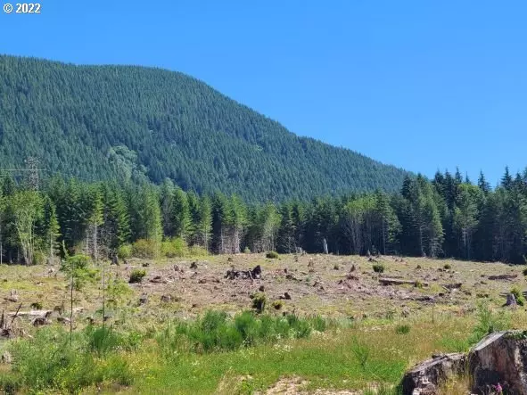 Rhododendron, OR 97049,20185 E LOLO PASS RD