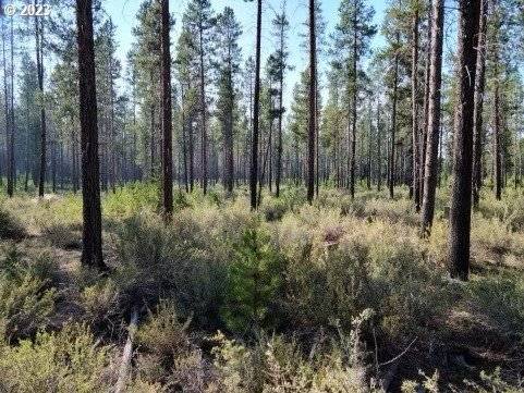 BITTERBRUSH LN, Crescent, OR 97733