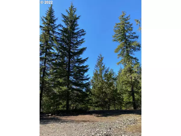 Cougar, WA 98616,2 Nymark DR